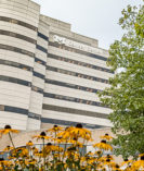 University of Michigan Comprehensive Cancer Center